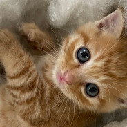 饭前猛灌三大杯