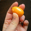 Kumquat3x3