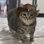 ShaquilleMyNeil