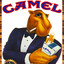 Camel Joe