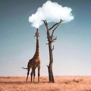 陈贤的鹅肉，里哦就怒v伯伯你