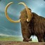Mamut Śmieć