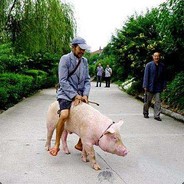 浪漫潮人温家宝