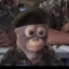 Cpt.Monkey