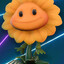yay