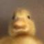 BLERG