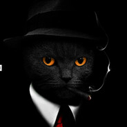 SMXRFERINHO - steam id 76561199542968927