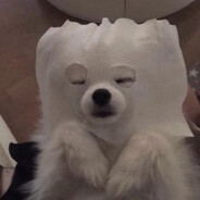 我爱吃苕皮豆干AvA