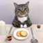 Munching Meows