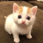 ШМАКОДЯВКА