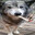 A Stoned Werewolf From Area 51