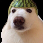 Chien Pastèque - steam id 76561198096649300