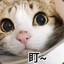 天下大赢家