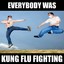 Kung Fu Flu