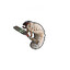 Grub bandit.gg