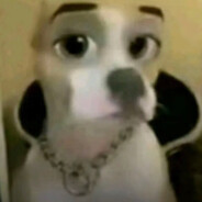 -Cveta- avatar