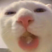 咪咪牌进口玉米