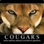 CougarTX