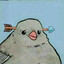 bird person
