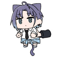 10個、光