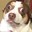 Mr BUBZ