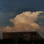 橘生淮南则为橘