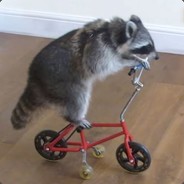 Just a Raccoon on a Bicycle