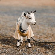 Harmless Goat