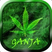 JUNIORSTRESS avatar