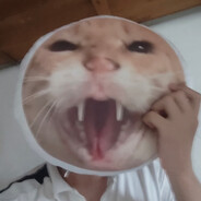 肯塔基大锅炖专家