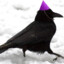 BirB