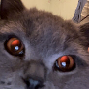 Fire's avatar