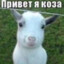 sos1k007