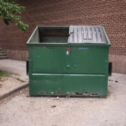 Dumpst3r