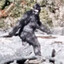 BigFootGuy