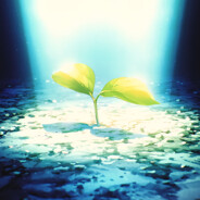 ♚Uninteresting♚瓦利