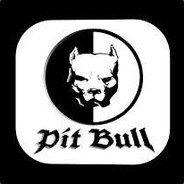 PIT BULL