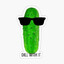 Pickle21