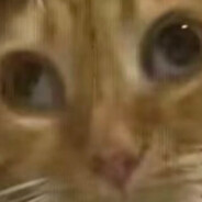 队友打架我 shopping