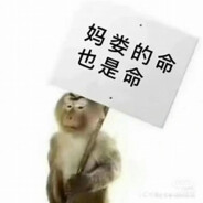 一只奇怪的马喽