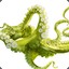 exotic octopus®