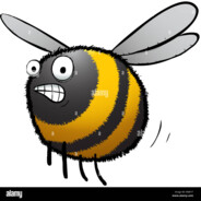 BOMBUS