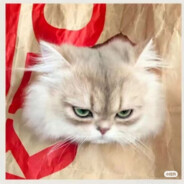 栗子春天不长怎么你了