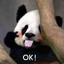 PandaKill