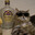 Catnip