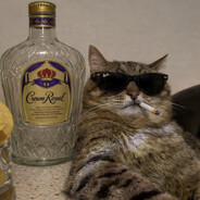 Catnip