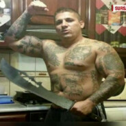 Fane Bucataru superbet.ro