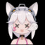 猫猫公寓第一突破手