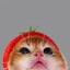 Avatar of ????????