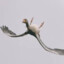 upsidedowngoose